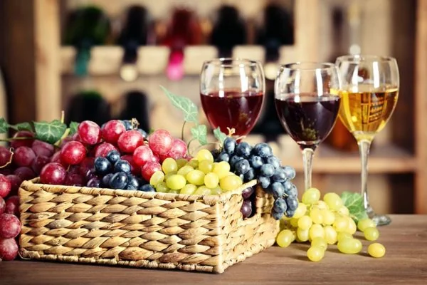 Tero Wine Photo 10